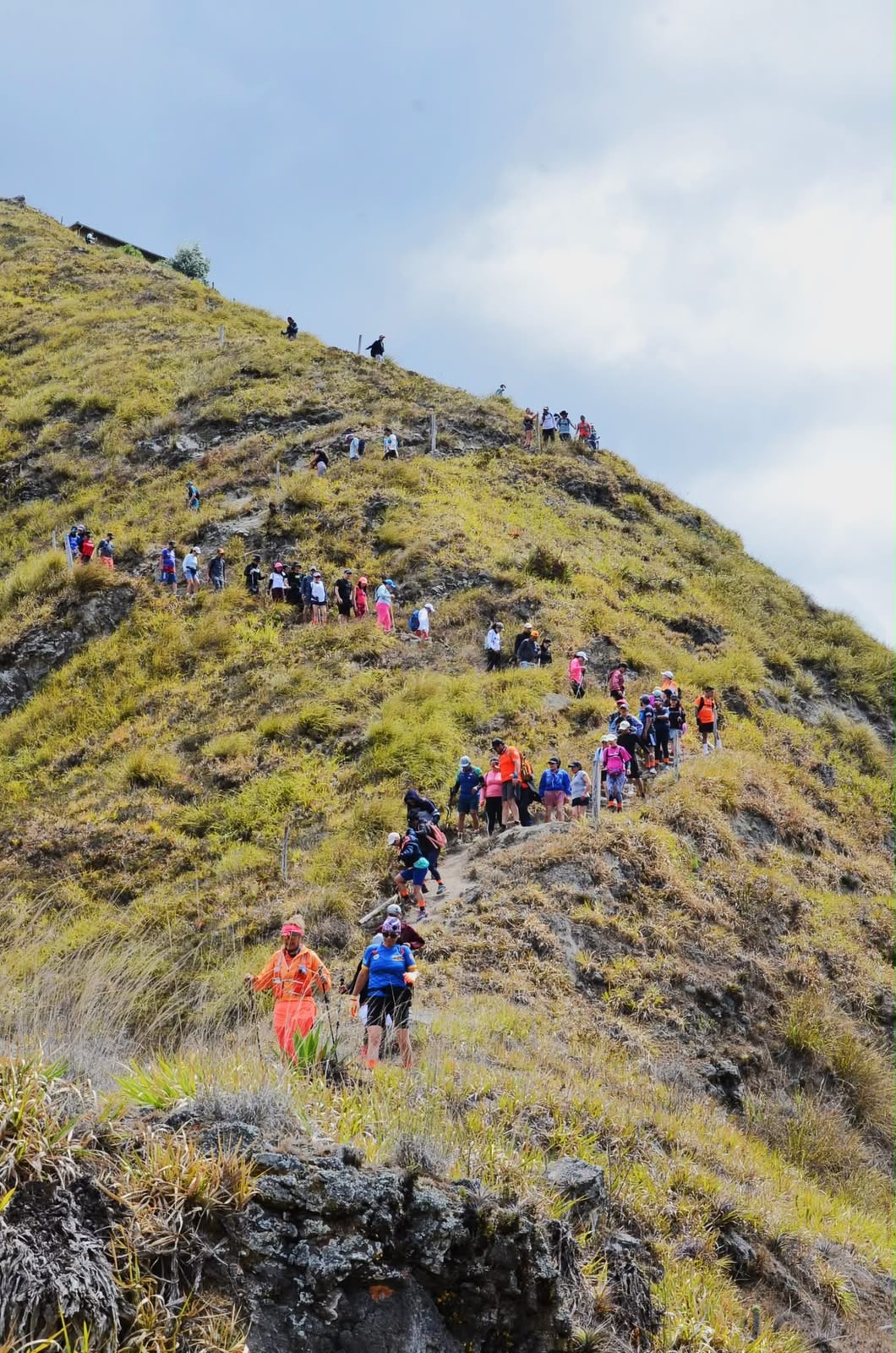 Imagen oficial: El Desierto Trail
